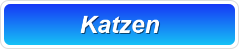 Katzen